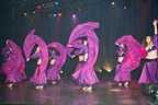 photo de spectacle de danse du monde sur scène,musique,spectacle,artiste,instrument,photographe,photographie