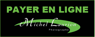 Michel Laurion - paiement